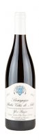 Domaine Yves Bazin 2020 (Bourgogne Hautes Côtes de Nuits - rouge)