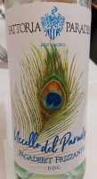 Fattoria Paradiso - Bertinoro - Uccello del Paradiso 2024 (Pagadebit di Romagna - blanc effervescent)