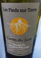 Les Pieds sur Terre - Savagnin En Bois d'Arnaux 2020 (Côtes du Jura - orange)