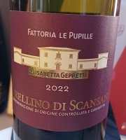 Fattoria Le Pupille 2022 (Morellino di Scansano - red)