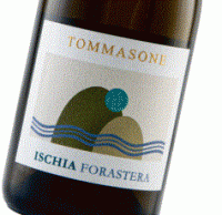 Tommasone - Forasera