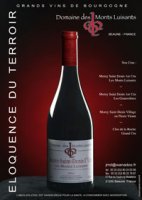 Domaine des Monts Luisants 2012 (Morey-Saint-Denis - rouge)