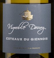 Vignoble Dauny 2024 (Côteaux du Giennois - blanc)