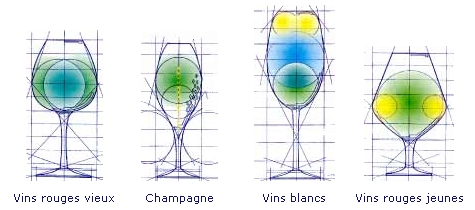 Flavour and aromas development in the glasses