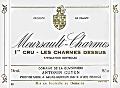 Domaine de la Guyonnière - 1er Cru Les Charmes Dessus