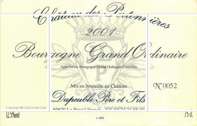 Château des Pertonnières