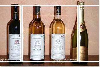 Château Laroque - Ambre et Lumière