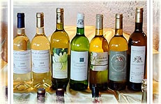 Domaine des Cassagnoles - Ugni Blanc