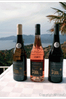 Domaine d'Alzipratu