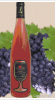 Domaine Le Grand Fé - Gamay