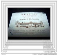 Château de Bligny - Clos Saint désiré