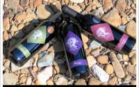 Domaine de l'Herbe Sainte - Ambroisie