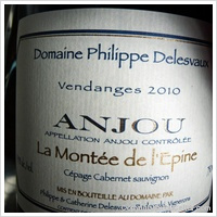 Domaine Philippe Delesvaux La Montée de l'Epine
