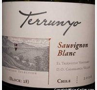 Concha y Toro - Terrunyo Sauvignon Blanc