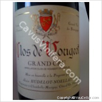Domaine Hudelot-Noellat - Grand Cru