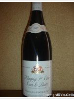 Domaine Jean Pascal et Fils - 1er Cru Sous le Puits