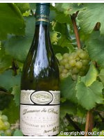 Domaine du Penlois - Chardonnay
