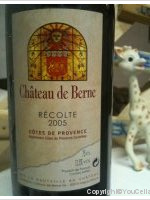 Château de Berne
