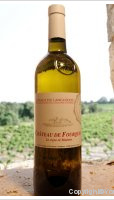Château de Fourques - La Vigne de Madame