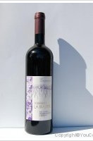 Domaine de la Brazière - Diolinoir-Merlot