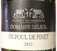 Domaine Delsol