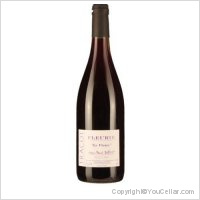 Domaine Dubost - Le Vivier