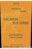 Les Pieds sur Terre - Chardonnay Saint(-)Savin