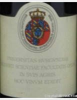Universitas Burgundiae