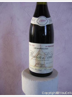 Domaine Jean Briday - Les Burdelines