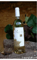 Cave de Saint Jean de Minervois - Muscat Sec