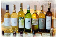 Domaine des Cassagnoles - Sauvignon