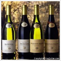 Domaine La Chanière - 1er Cru