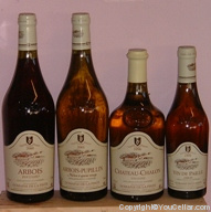 Domaine de la Pinte - Melon à Queue Rouge
