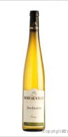Cave de Ribeauvillé - Andante