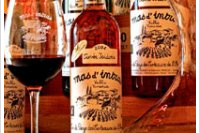 Mas d'Intras - Grenache