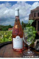Domaine de la Noë - Egiodola