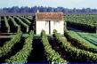 Domaine Michel Follet - Demi sec
