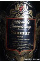 Château de Champteloup - Brut