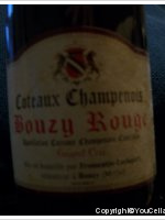 Fromentin Leclapart - Bouzy Rouge