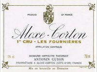 Domaine de la Guyonnière - 1er Cru Les Fournières