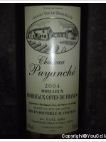 Château Puyanché 