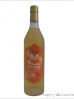 Domaine de Birius - Birius Liqueur au Cognac et à l'orange