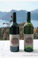 Clos de Sarcone