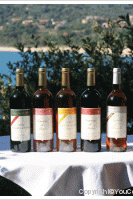 Domaine de Pietri - Blanc de blanc