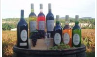Domaine de Cassagnole - Syrah