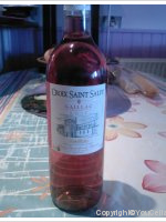 croix saint salvy