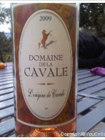 Domaine de la Cavale L'Origine de Cavale