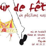 Marie et Vincent Tricot - Jour de Fête