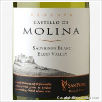 Castillo de Molina Sauvignon Blanc Reserva