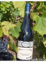 Domaine du Penlois